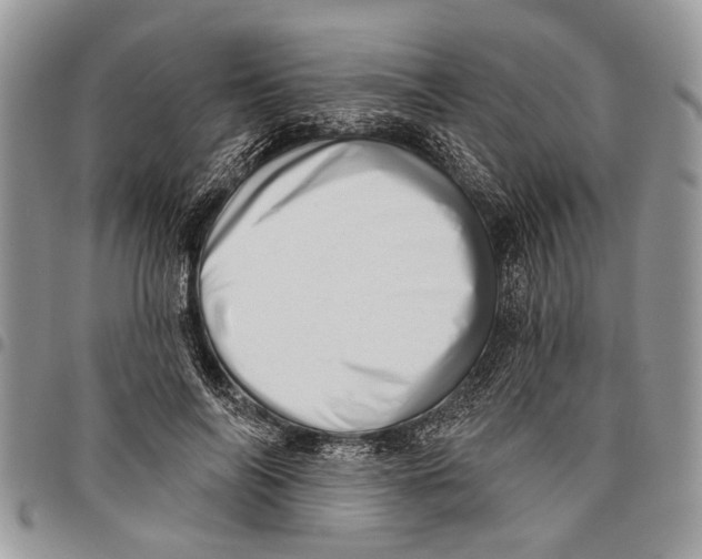 X0000097770694200803281640