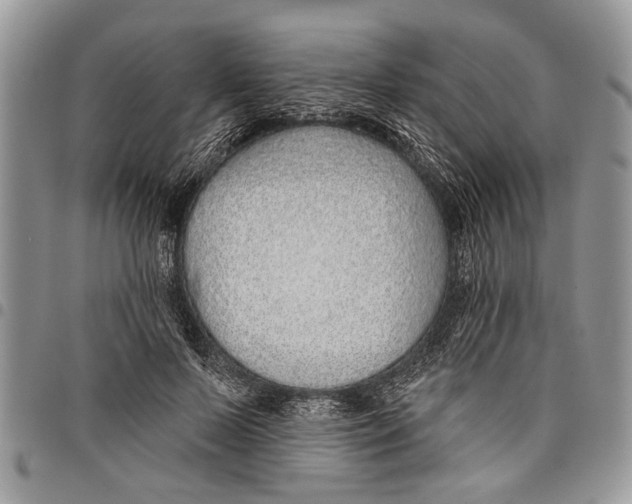 X0000097770695200803281640