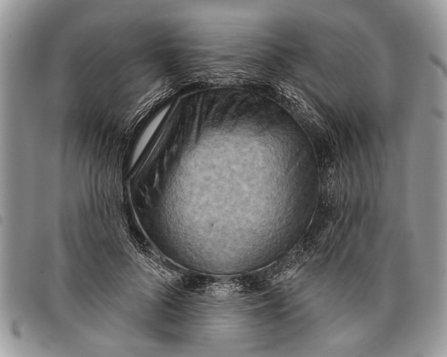 X0000097770696200803281640