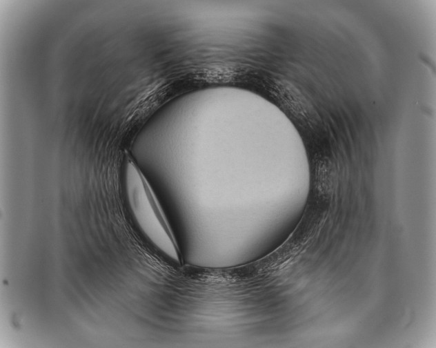 X0000097770697200803281640