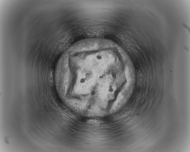 X0000097770699200803281640