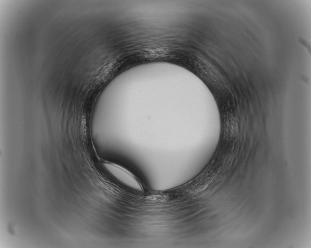 X0000097770700200803281640