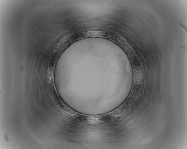 X0000097770701200803281640