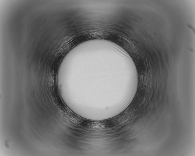 X0000097770702200803281640