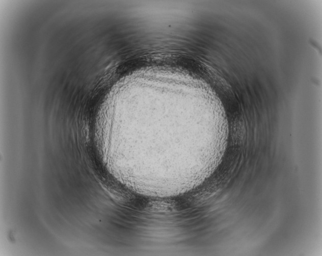 X0000097770703200803281640