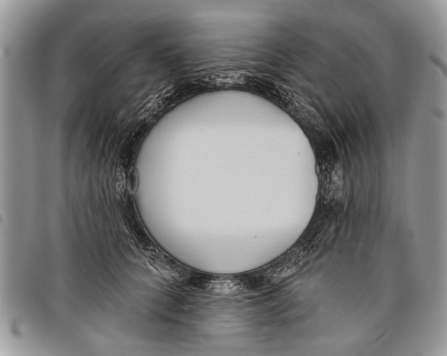 X0000097770704200803281640