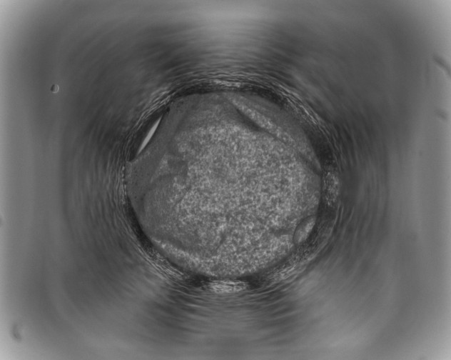 X0000097770707200803281640