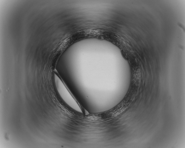 X0000097770708200803281640