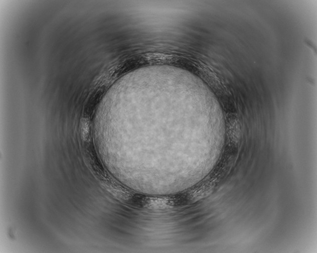 X0000097770709200803281640