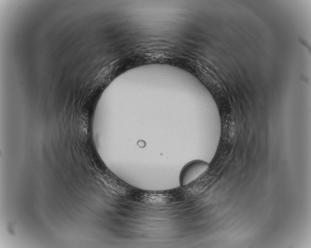 X0000097770710200803281640