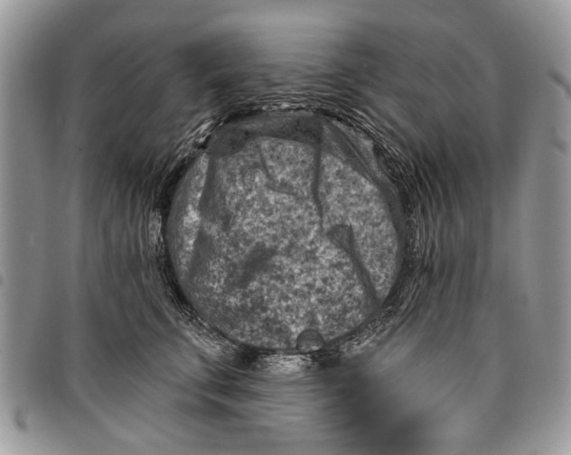 X0000097770711200803281640