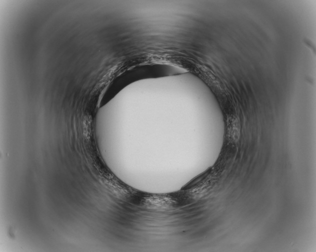 X0000097770712200803281640