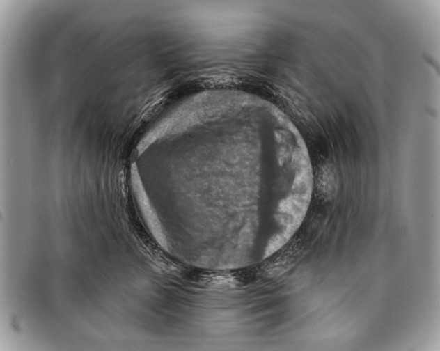 X0000097770715200803281640