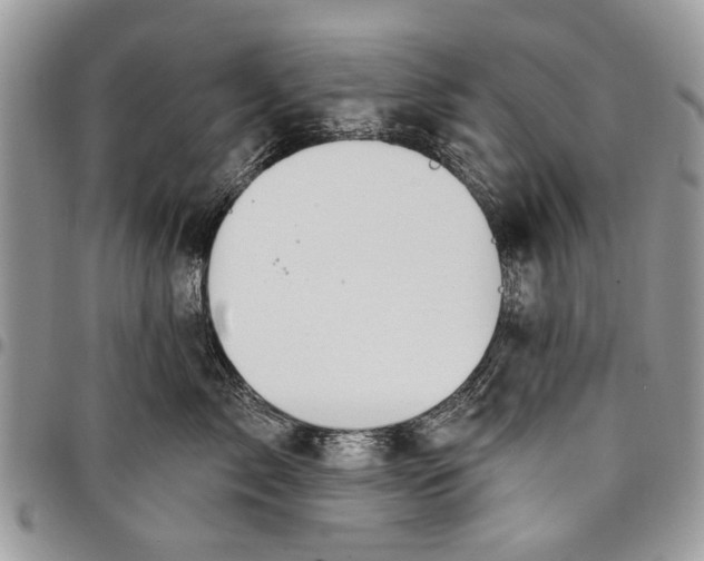 X0000097770717200803281640