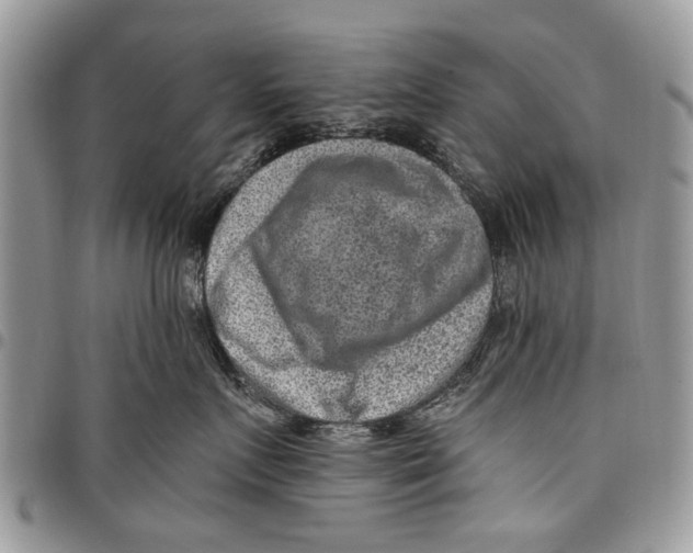 X0000097770719200803281640