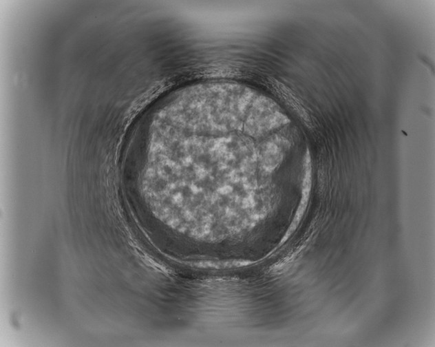 X0000097770721200803281639