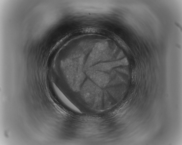 X0000097770722200803281639