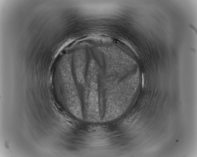 X0000097770723200803281639