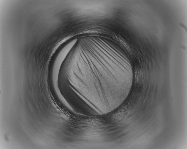 X0000097770724200803281639