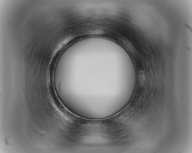 X0000097770726200803281639