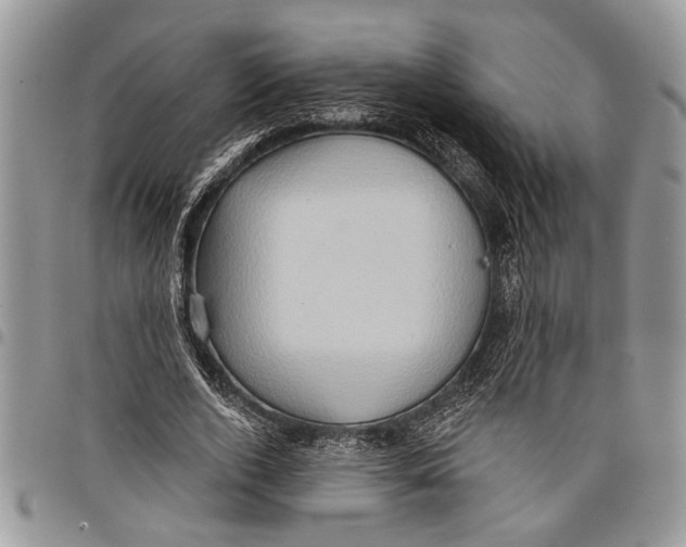 X0000097770728200803281639