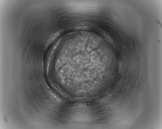 X0000097770729200803281639