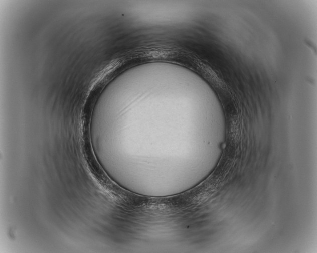 X0000097770730200803281639