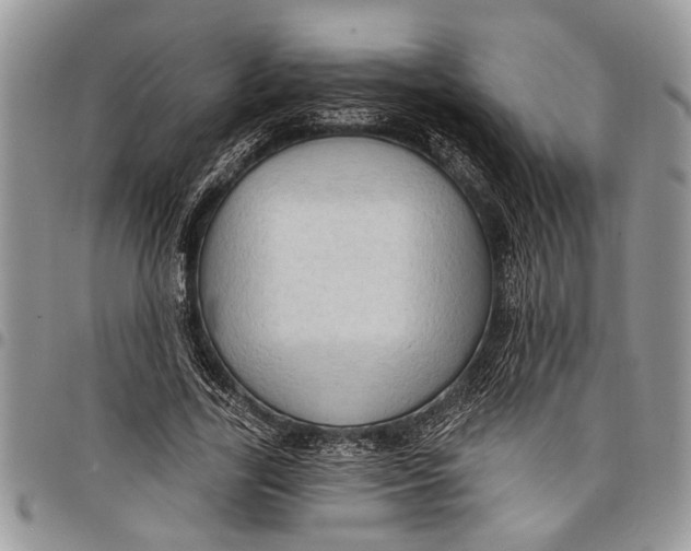 X0000097770731200803281639