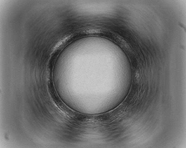 X0000097770732200803281639