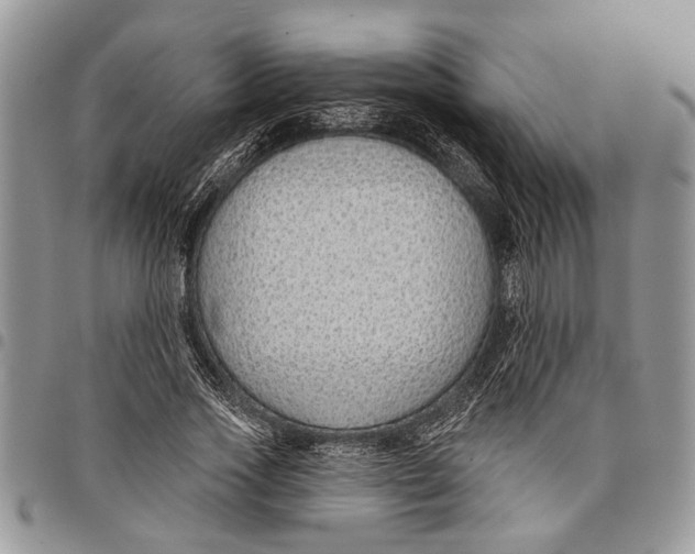 X0000097770733200803281639