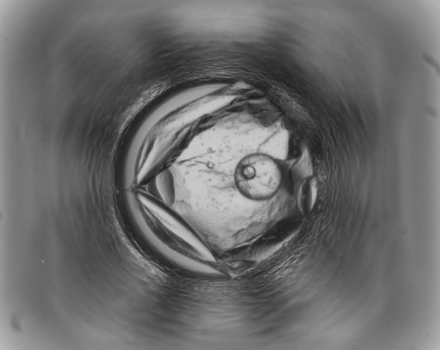 X0000097770734200803281639