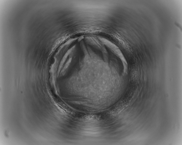 X0000097770736200803281639