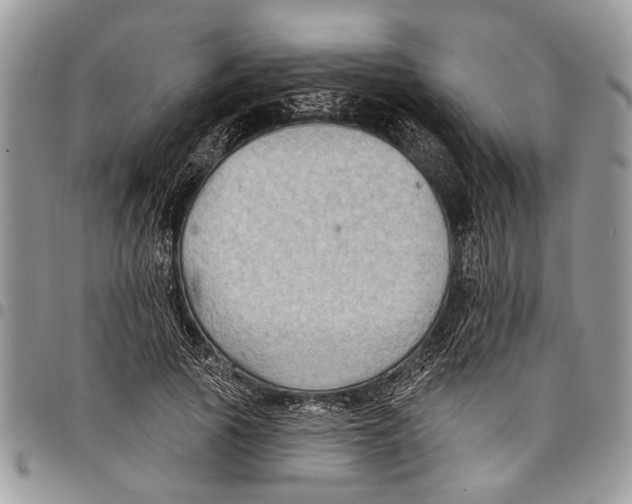 X0000097770737200803281639