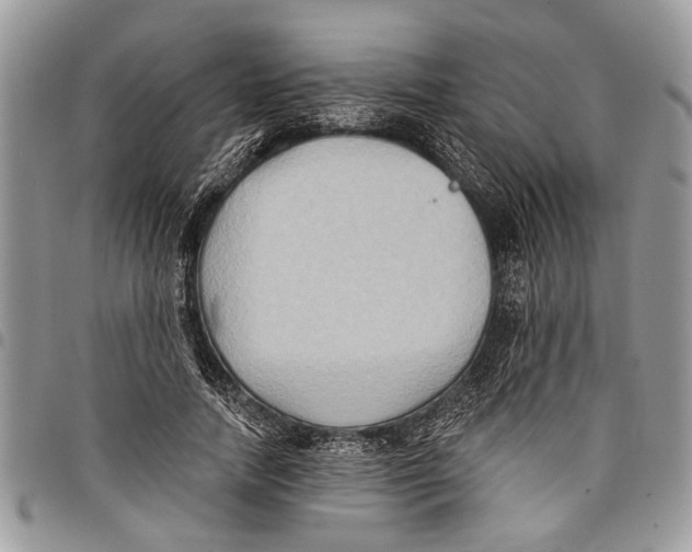 X0000097770738200803281639