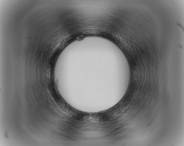 X0000097770739200803281639