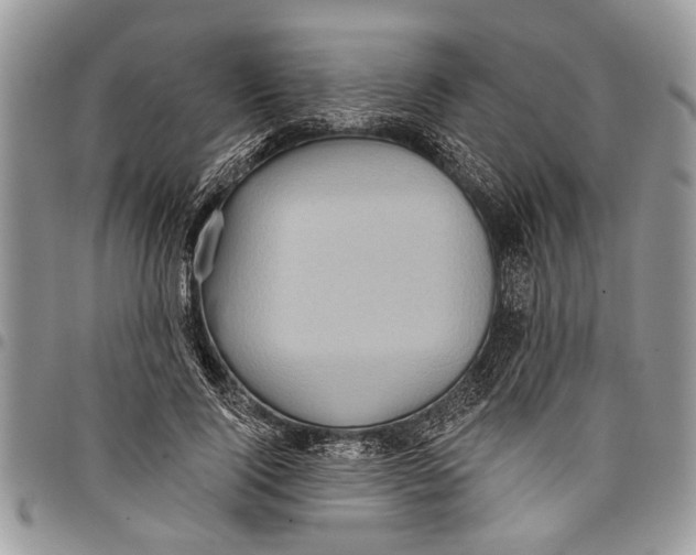 X0000097770740200803281639