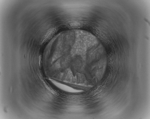 X0000097770742200803281639