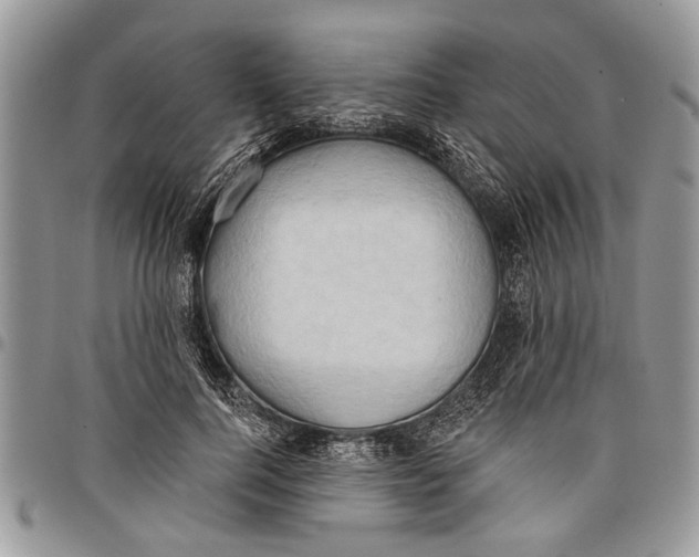 X0000097770744200803281639