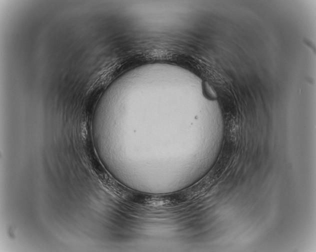 X0000097770746200803281639