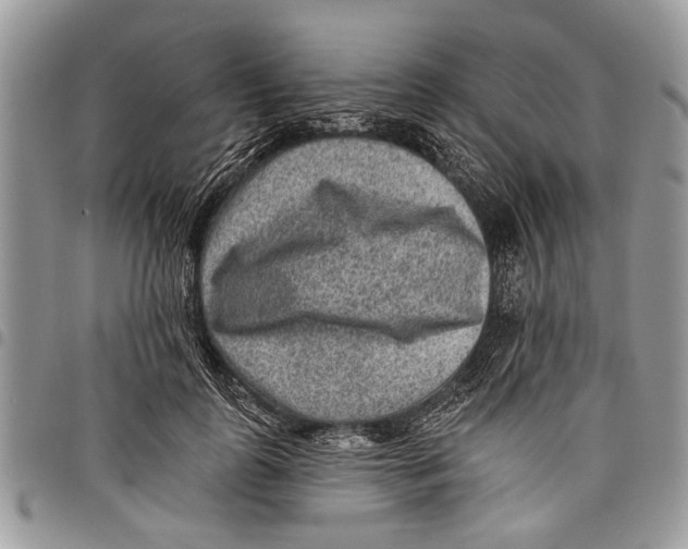 X0000097770747200803281639