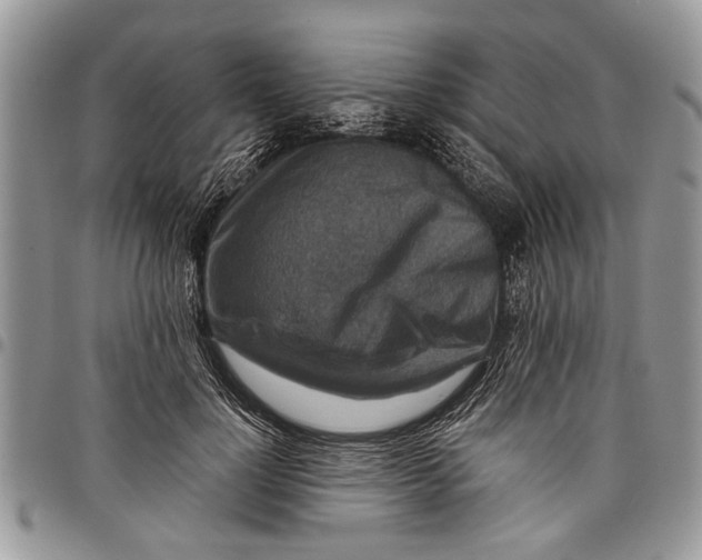 X0000097770748200803281639