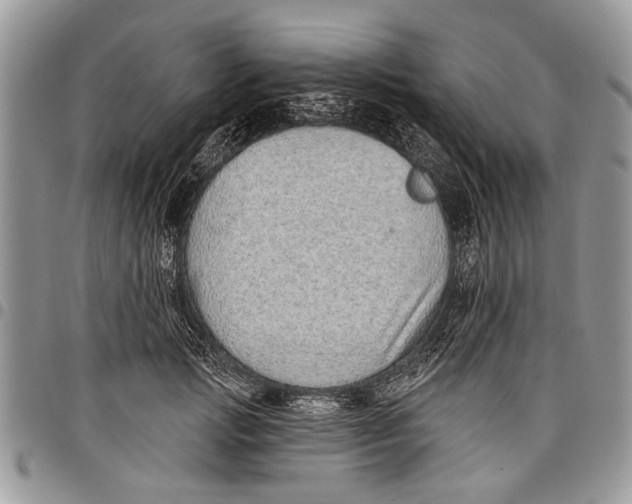 X0000097770749200803281639