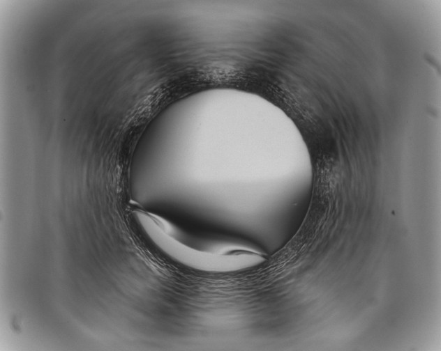 X0000097770750200803281640