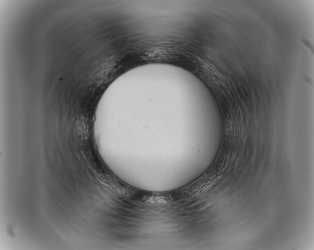 X0000097770751200803281640