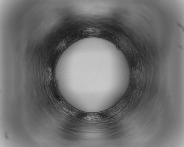 X0000097770752200803281640