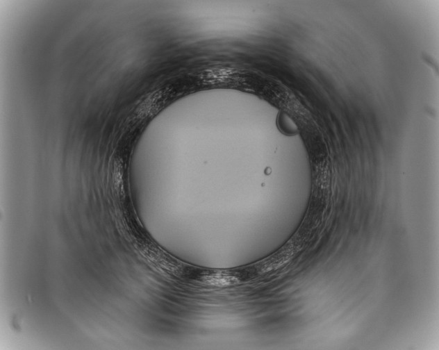 X0000097770754200803281640