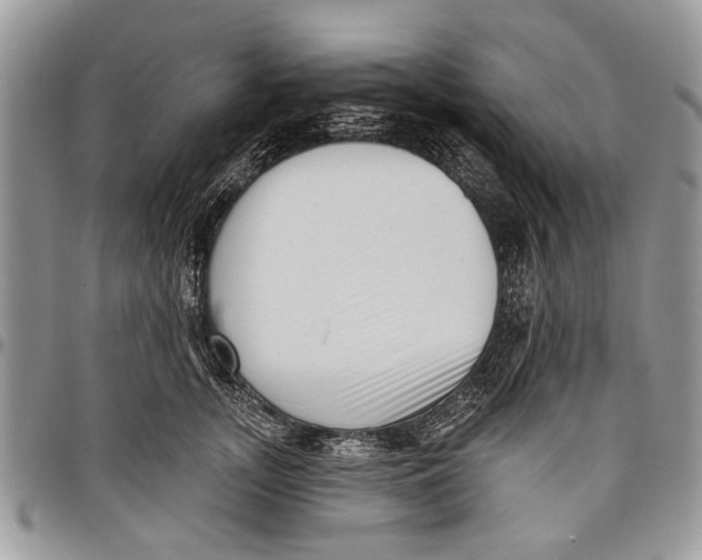 X0000097770755200803281640