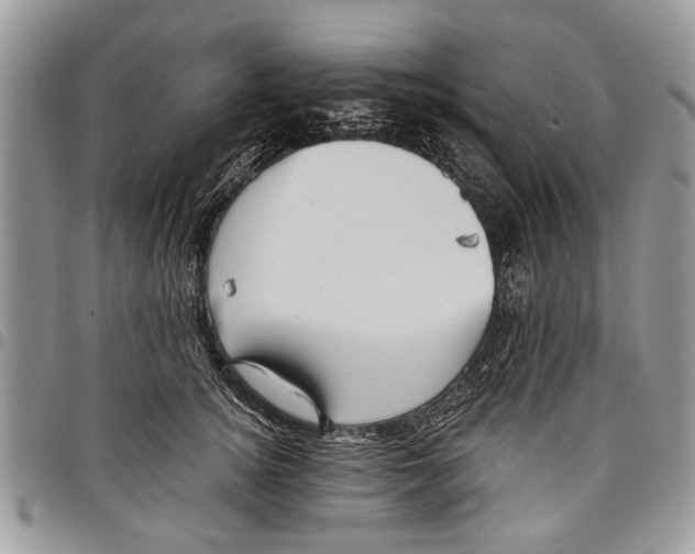 X0000097770756200803281640