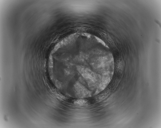 X0000097770759200803281640