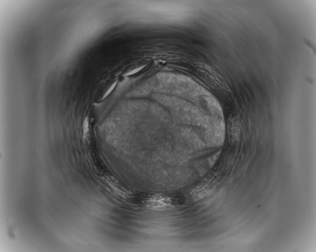 X0000097770760200803281640